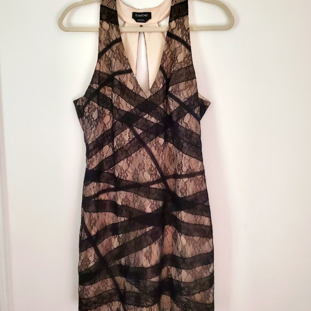Sexy Bebe dress size 8